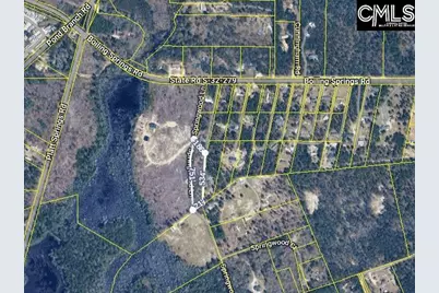 576 A Boiling Springs Road, Lexington, SC 29073 - Photo 2