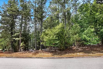 1329 Martins Camp Lane #Lot 14, Gilbert, SC 29054 - Photo 6