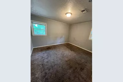 408 Todd Branch Drive, Columbia, SC 29223 - Photo 6