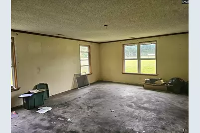 4412 Festival Trail Road, Wagener, SC 29164 - Photo 20
