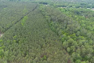 1291 Congress Rd, Eastover, SC 29044 - Photo 20