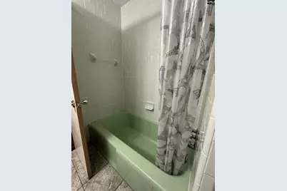1703 Alba Drive, Columbia, SC 29209 - Photo 14