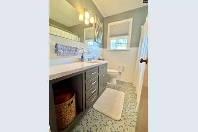 3219 Oakdale Road, Springdale, SC 29170 - Photo 24