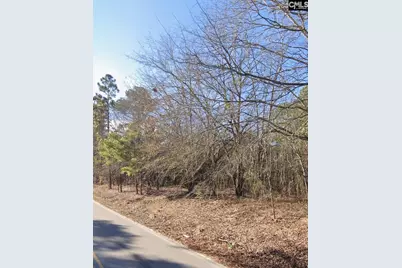 151 Shelton Road, West Columbia, SC 29170 - Photo 4