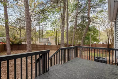 1 Pioneers Point Court, Irmo, SC 29063 - Photo 30