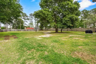 145 Knotts Road, Lexington, SC 29073 - Photo 32