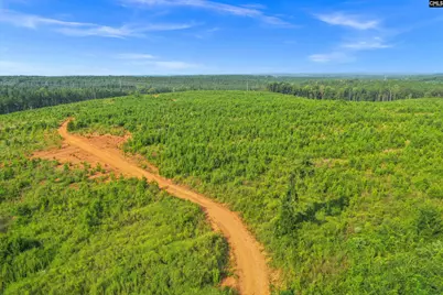 0000 Hwy 215 3 #3, Jenkinsville, SC 29065 - Photo 22