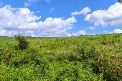 0000 Hwy 215 3 #3, Jenkinsville, SC 29065 - Photo 26
