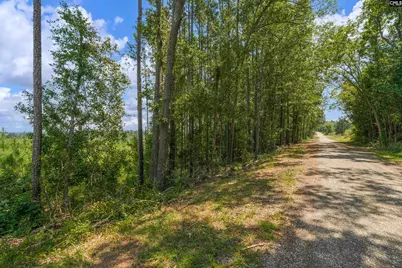 0000 Hwy 215 3 #3, Jenkinsville, SC 29065 - Photo 28
