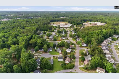 305 Cutter Court, Chapin, SC 29036 - Photo 32