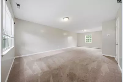 305 Cutter Court, Chapin, SC 29036 - Photo 4