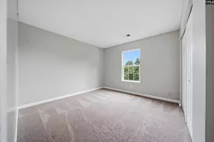 305 Cutter Ct, Chapin, SC 29036 - Photo 24