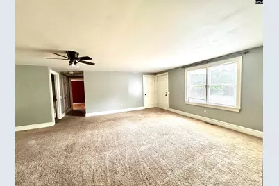 310 Otis Road, Pelion, SC 29123 - Photo 14
