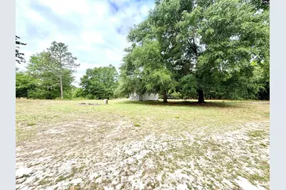 310 Otis Road, Pelion, SC 29123 - Photo 2