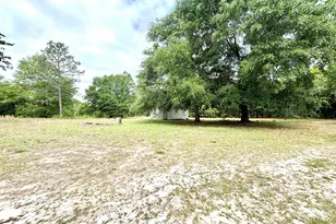 310 Otis Rd, Pelion, SC 29123 - Photo 2
