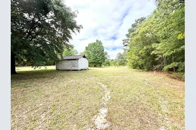 310 Otis Road, Pelion, SC 29123 - Photo 4