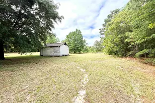 310 Otis Rd, Pelion, SC 29123 - Photo 4