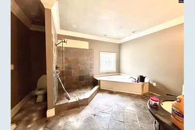 310 Otis Road, Pelion, SC 29123 - Photo 12