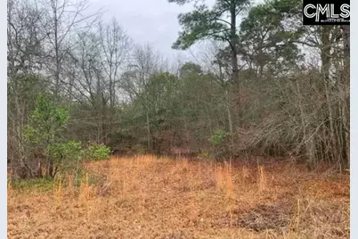 669 Clay Hills Road, Pelion, SC 29123 - Photo 2