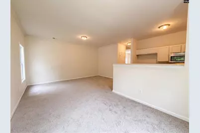 149 Angel Garden Way, Columbia, SC 29223 - Photo 10