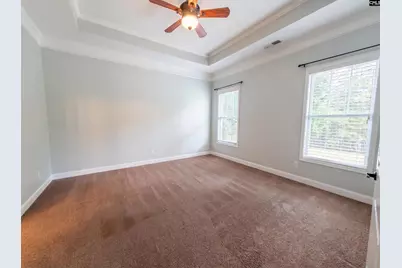 671 Scarlet Baby Drive, Blythewood, SC 29016 - Photo 20