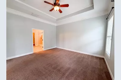 671 Scarlet Baby Drive, Blythewood, SC 29016 - Photo 4