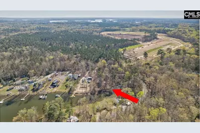 342 Green Garden Drive, Chapin, SC 29036 - Photo 6