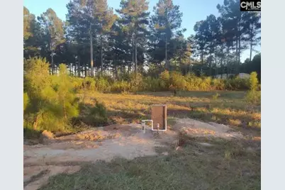 Tbd Poinsettia Road, Wagener, SC 29164 - Photo 2