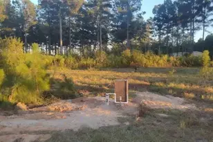 Tbd Poinsettia Rd, Wagener, SC 29164 - Photo 2