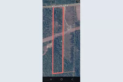 Tbd Poinsettia Road, Wagener, SC 29164 - Photo 4