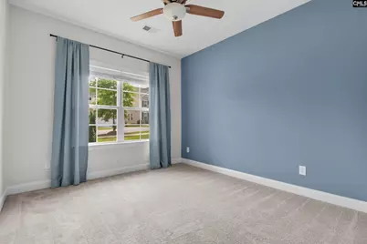 482 Malachite Lane, Chapin, SC 29036 - Photo 26