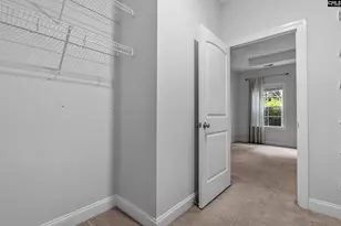 482 Malachite Ln, Chapin, SC 29036 - Photo 24