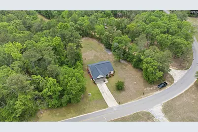 543 Jim Rucker, Swansea, SC 29160 - Photo 38