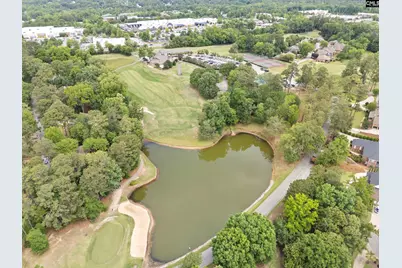 240 Palmer Drive, Lexington, SC 29072 - Photo 68