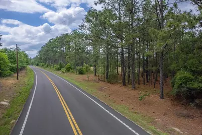 0 Pond Branch Road, Gilbert, SC 29054 - Photo 10