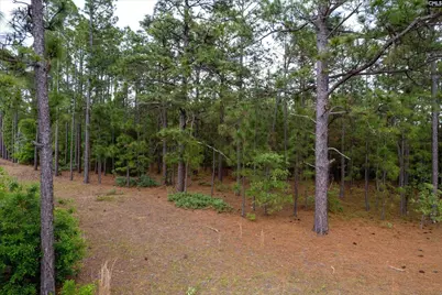 0 Pond Branch Road, Gilbert, SC 29054 - Photo 2