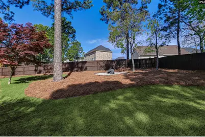 407 Bridgecreek Drive, Columbia, SC 29229 - Photo 6