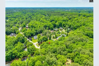 900 John Fox Court, Columbia, SC 29072 - Photo 46