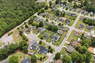 316 Turkey Beard Ct, Chapin, SC 29036 - Photo 30
