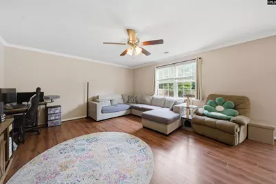 316 Turkey Beard Court, Chapin, SC 29036 - Photo 12