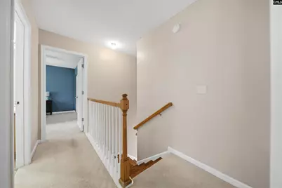316 Turkey Beard Court, Chapin, SC 29036 - Photo 16