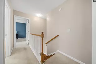 316 Turkey Beard Ct, Chapin, SC 29036 - Photo 16