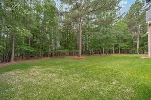 126 Pebblebranch Dr, Chapin, SC 29036 - Photo 36