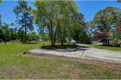 511 Woodline Road, Chapin, SC 29036 - Photo 56
