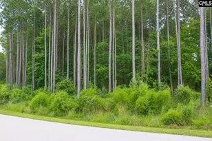 Clouds Creek Circle, Leesville, SC 29070 - Photo 1