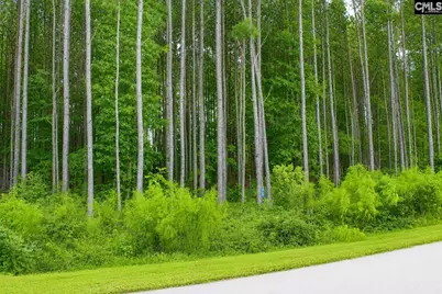 Clouds Creek Circle #94, Leesville, SC 29070 - Photo 2