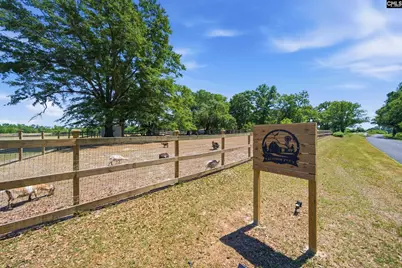 695 Hartzog, Barnwell, SC 29812 - Photo 30
