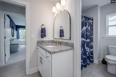 163 Highgate Lane, Chapin, SC 29036 - Photo 28
