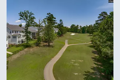 163 Highgate Lane, Chapin, SC 29036 - Photo 54