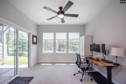 163 Highgate Lane, Chapin, SC 29036 - Photo 38